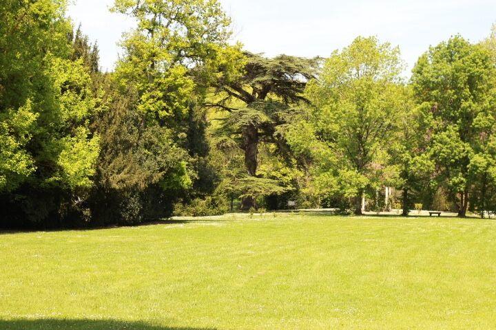 Chateau Castelrives Bessières المظهر الخارجي الصورة