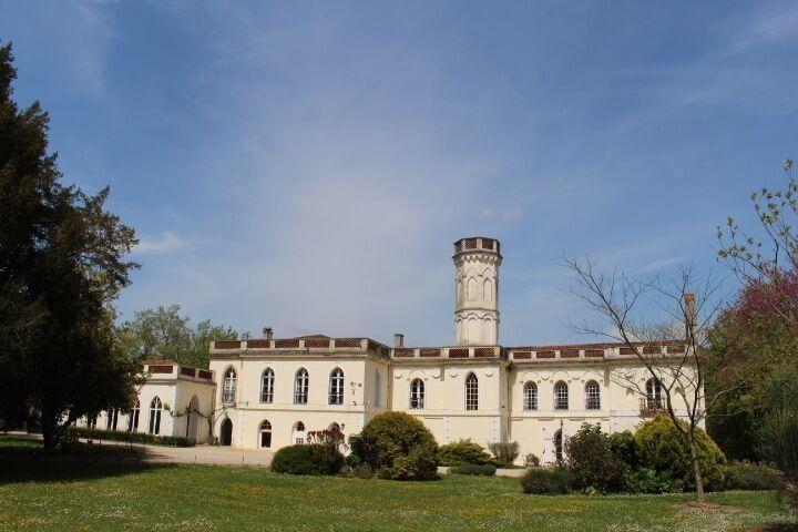 Chateau Castelrives Bessières المظهر الخارجي الصورة